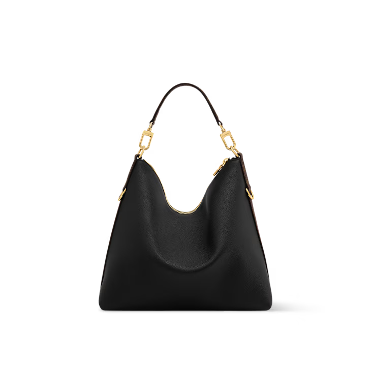 LV Multipass bag